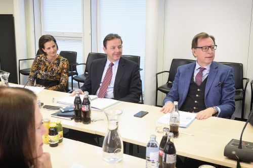 Von links: Bundesrätin Martina Ess (V), Nationalratsabgeordneter Nikolaus Berlakovich (V), Bundesrat Christian Buchmann (V)