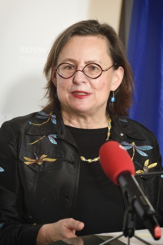 Geschäftsführerin der Interventionsstelle gegen familiäre Gewalt Rosa Logar bei ihren Ausführungen