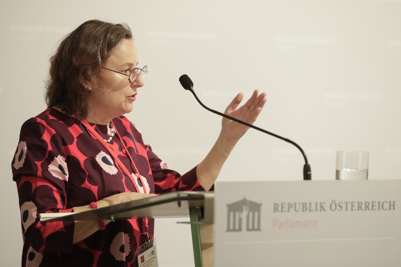 Geschäftsführerin der Wiener Interventionsstelle Rosa Logar am Wort