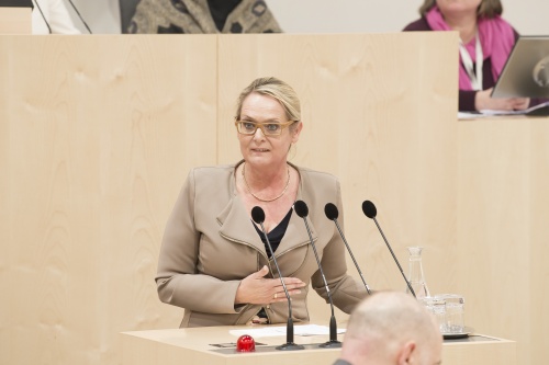 Am Rednerpult: Nationalratsabgeordnete Carmen Schimanek (F)