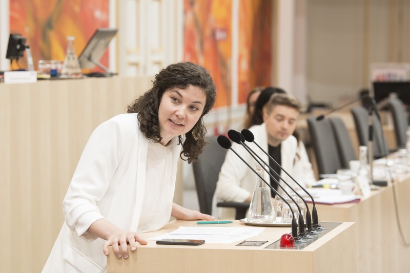 Am Rednerpult: Nationalratsabgeordnete Stephanie Cox (J)