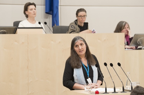 Am Rednerpult: Barbara Ille, Wiener Interventionsstelle gegen Gewalt in der Familie