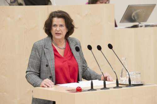 Am Rednerpult: Nationalratsabgeordnete Edith Mühlberghuber (F)