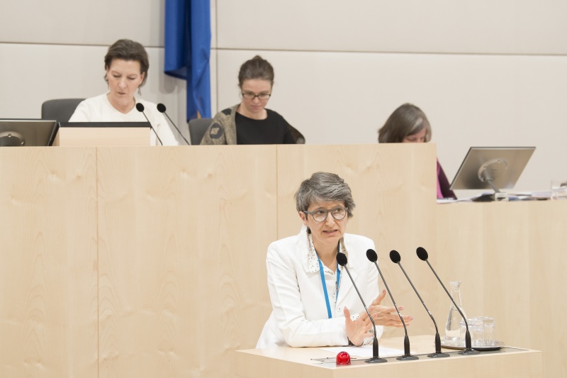 Am Rednerpult: Katharina Beclin, Universtität Wien