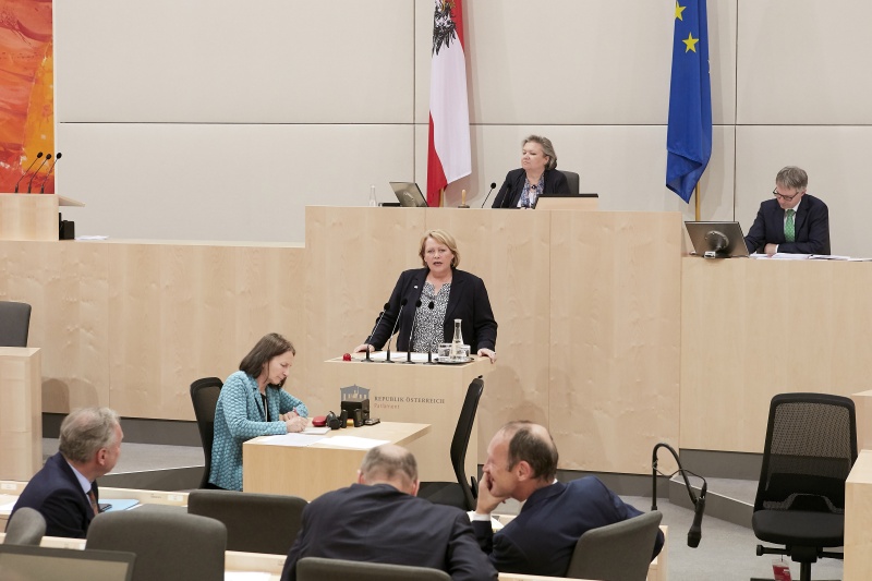 Am Rednerpult: Nationalratsabgeordnete Gertraud Salzmann (V)