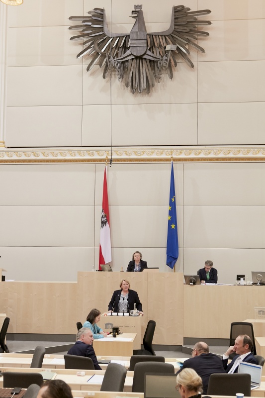 Am Rednerpult: Nationalratsabgeordnete Gertraud Salzmann (V)