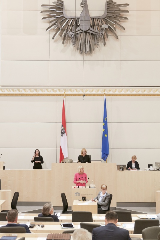 Am Rednerpult: Nationalratsabgeordnete Gabriela Schwarz (V)