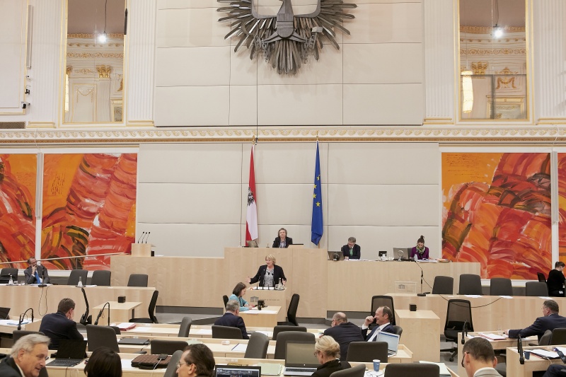 Am Rednerpult: Nationalratsabgeordnete Gertraud Salzmann (V)