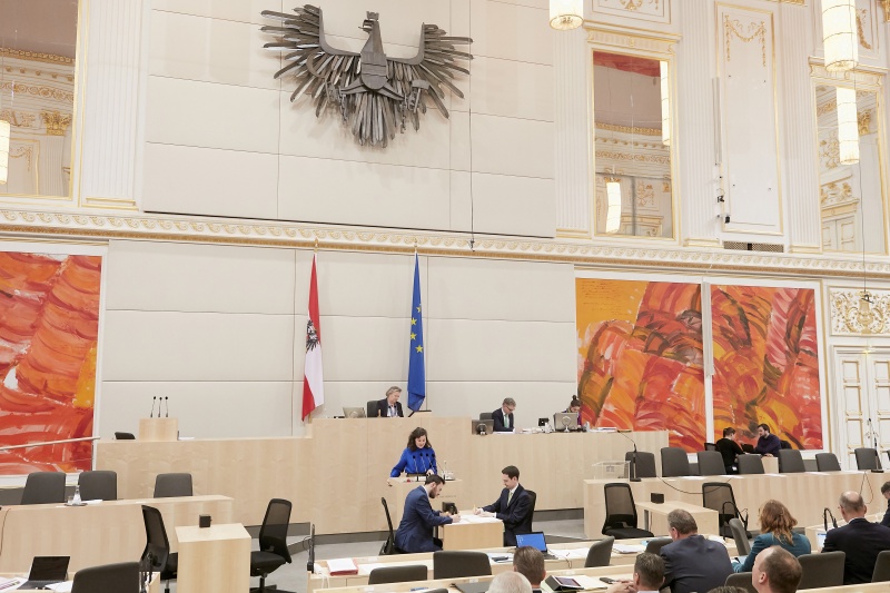 Am Rednerpult: Nationalratsabgeordnete Stephanie Cox (J)