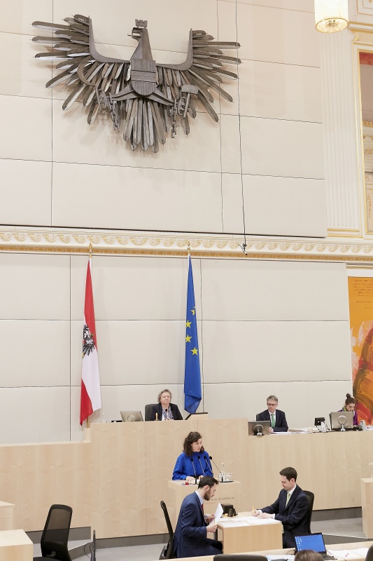 Am Rednerpult: Nationalratsabgeordnete Stephanie Cox (J)