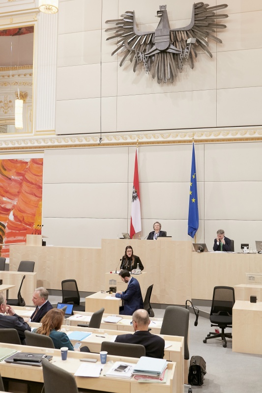 Am Rednerpult: Nationalratsabgeordnete Katharina Kucharowits (S)