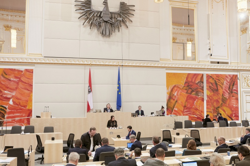 Am Rednerpult: Nationalratsabgeordnete Katharina Kucharowits (S)