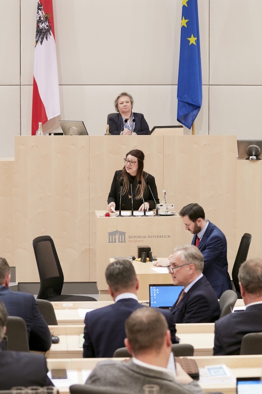 Am Rednerpult: Nationalratsabgeordnete Katharina Kucharowits (S)