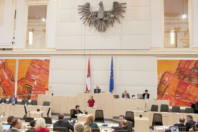 Am Rednerpult: Nationalratsabgeordnete Maria Theresia Niss (V)