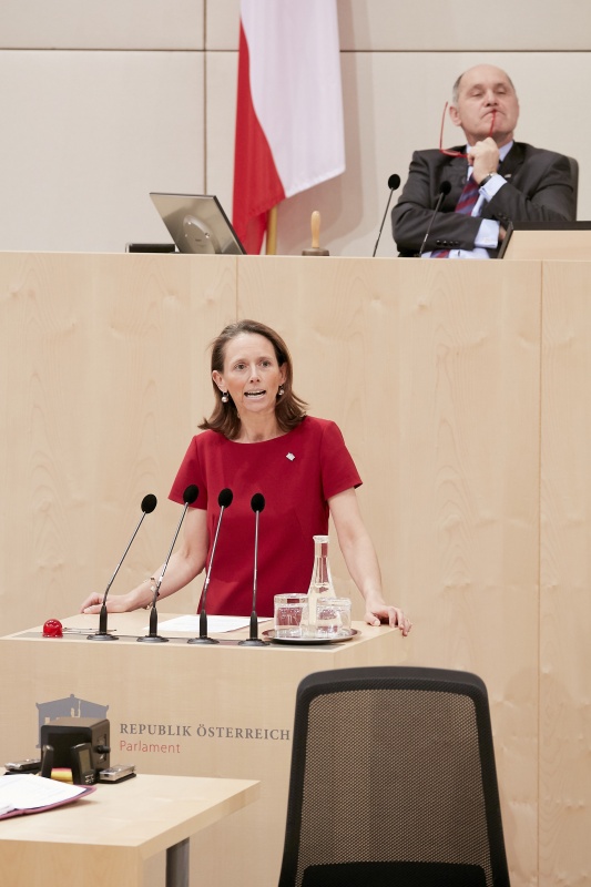 Am Rednerpult: Nationalratsabgeordnete Maria Theresia Niss (V)