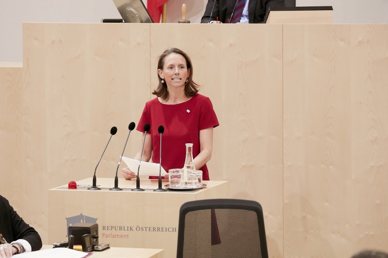 Am Rednerpult: Nationalratsabgeordnete Maria Theresia Niss (V)