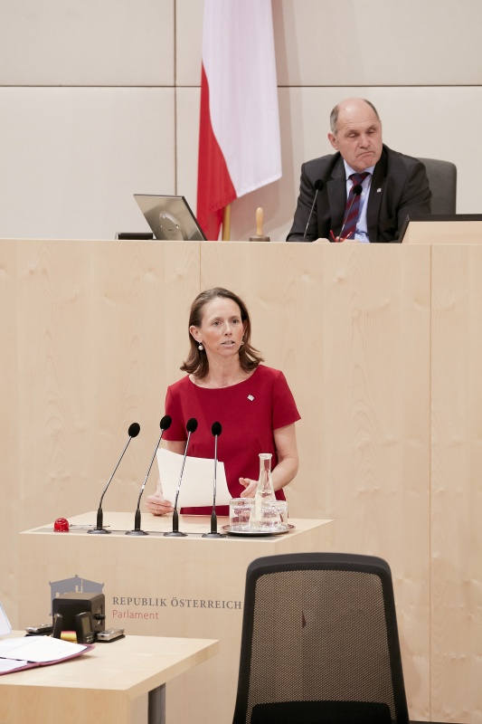 Am Rednerpult: Nationalratsabgeordnete Maria Theresia Niss (V)