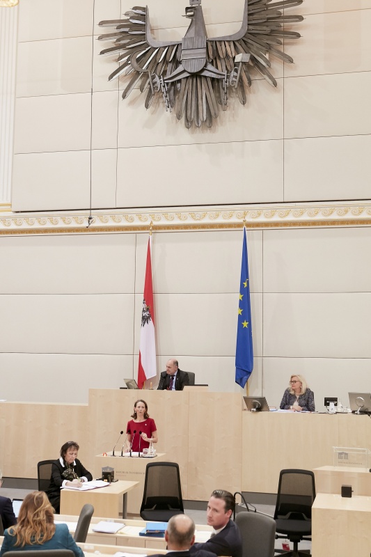 Am Rednerpult: Nationalratsabgeordnete Maria Theresia Niss (V)