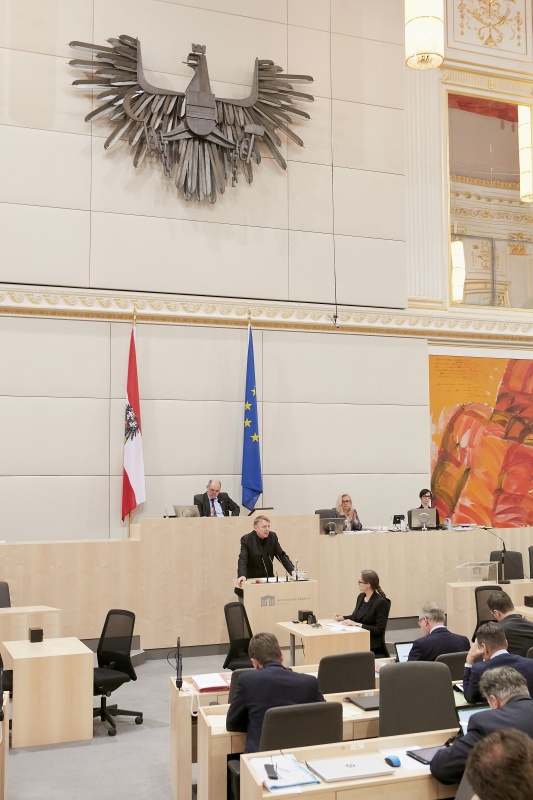 Am Rednerpult: Nationalratsabgeordneter Wolfgang Zinggl (J)