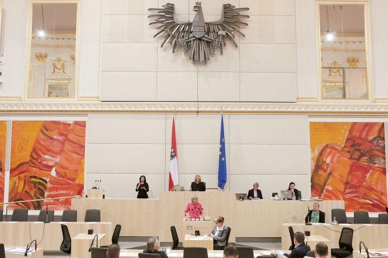 Am Rednerpult: Nationalratsabgeordnete Gabriela Schwarz (V)