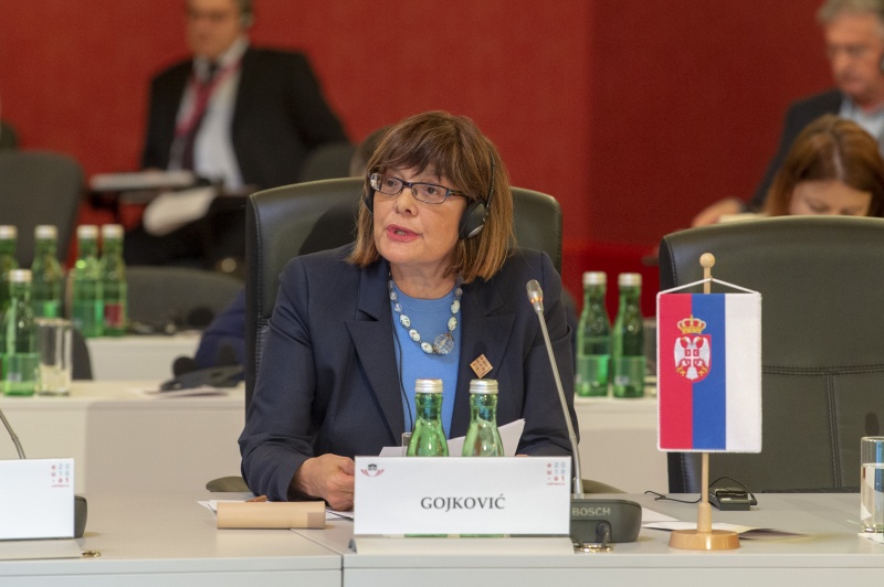 Speaker of the Serbian National Assembly Maja Gojković