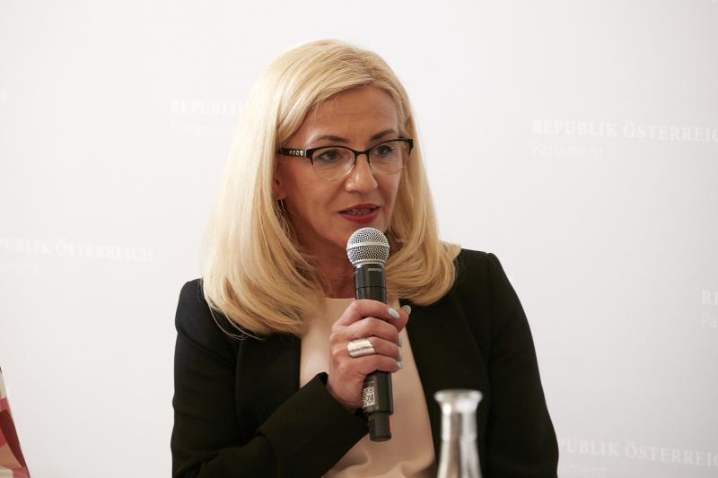 Panel Frauen - Integration, Emina Saric