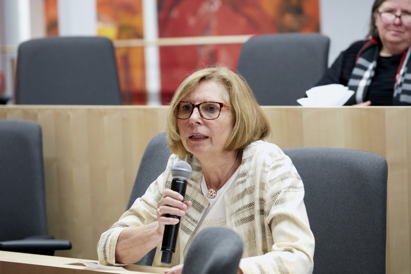 Panel Frauen - Armut, Diskussion