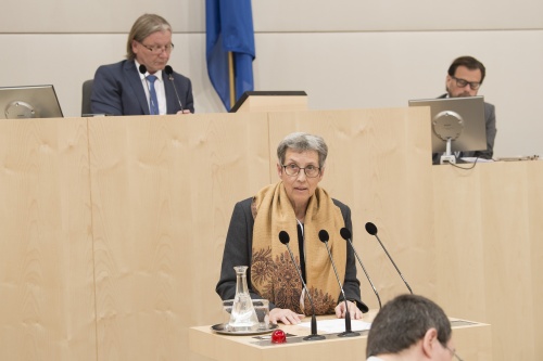 Am Rednerpult: Ulrike SCHAUER, Dr., Landesregierung Niederösterreich