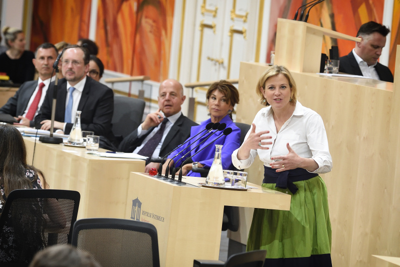 Klubobfrau Beate Meinl-Reisinger (N) am Wort