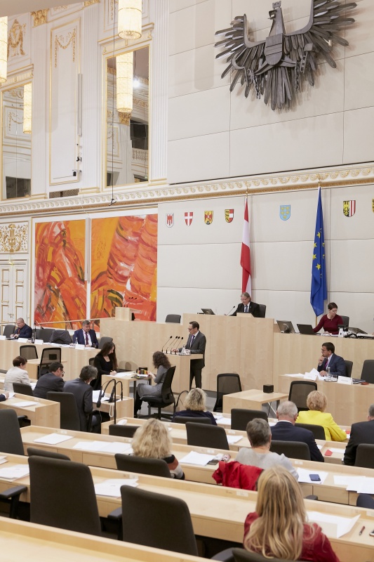 Rede Stefan Seidorfer Deutsch-Französisches Institut Ludwigsburg