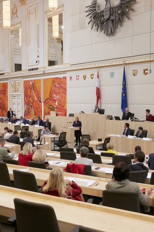 Stellungnahme durch Bundesrätin Korinna Schumann (S)