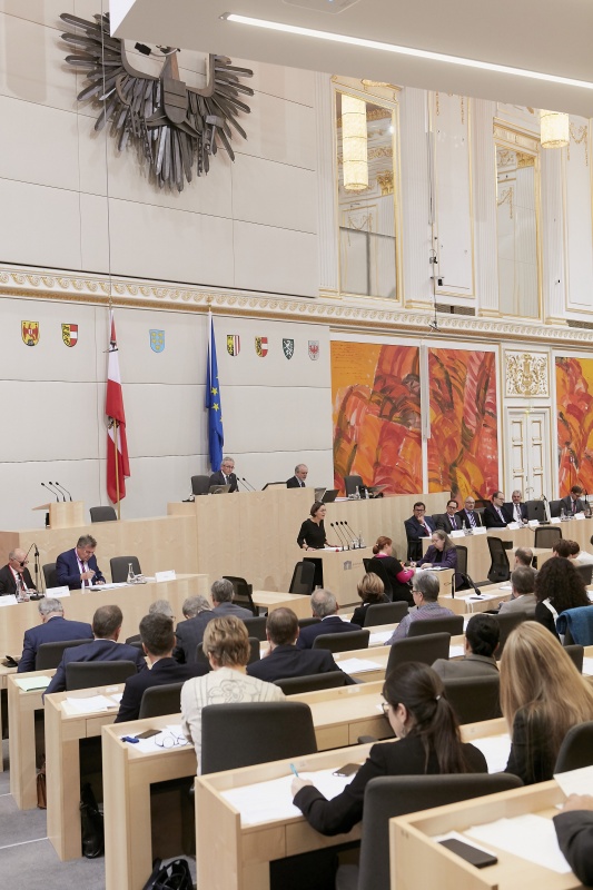 Blick Richtung SitzungsteilnehmerInnen