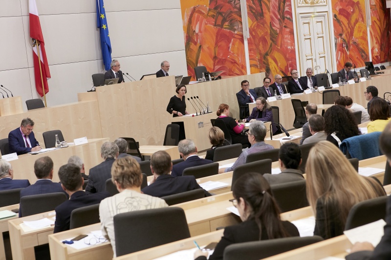 Blick Richtung SitzungsteilnehmerInnen