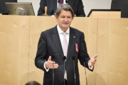 Nationalratsabgeordneter Helmut Brandstätter (N) am Rednerpult