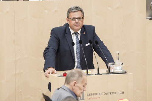 Am Rednerpult: Nationalratsabgeordnete/r Gerhard Deimek (F)