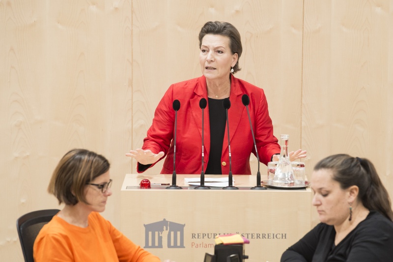 Am Rednerpult: Nationalratsabgeordnete Gabriele Heinisch-Hosek (S)