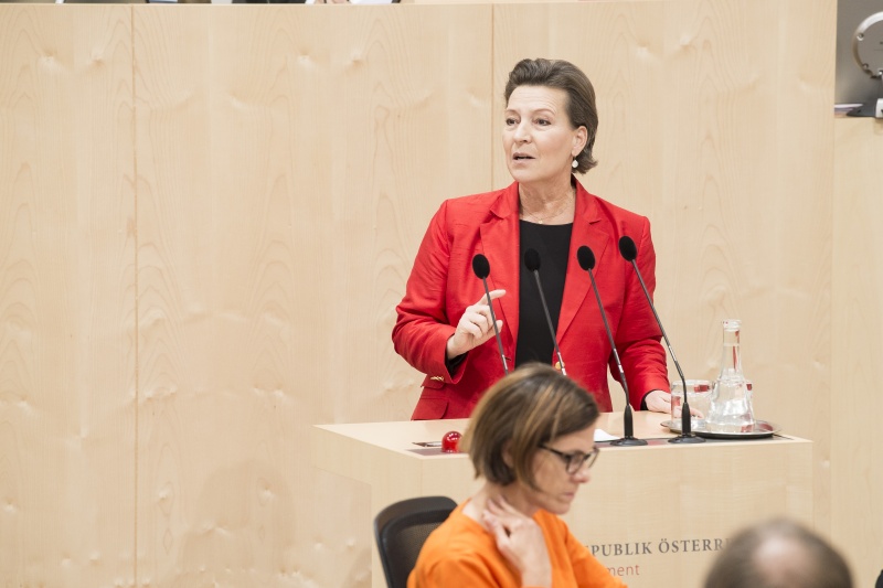 Am Rednerpult: Nationalratsabgeordnete Gabriele Heinisch-Hosek (S)