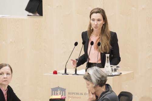 Am Rednerpult: Nationalratsabgeordnete Susanne Fürst (F)
