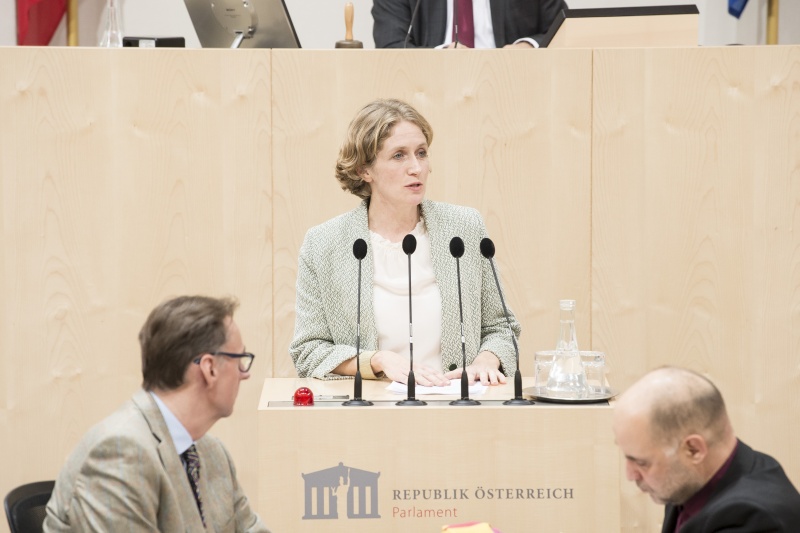 Am Rednerpult:Nationalratsabgeordnete Stephanie Krisper (N)