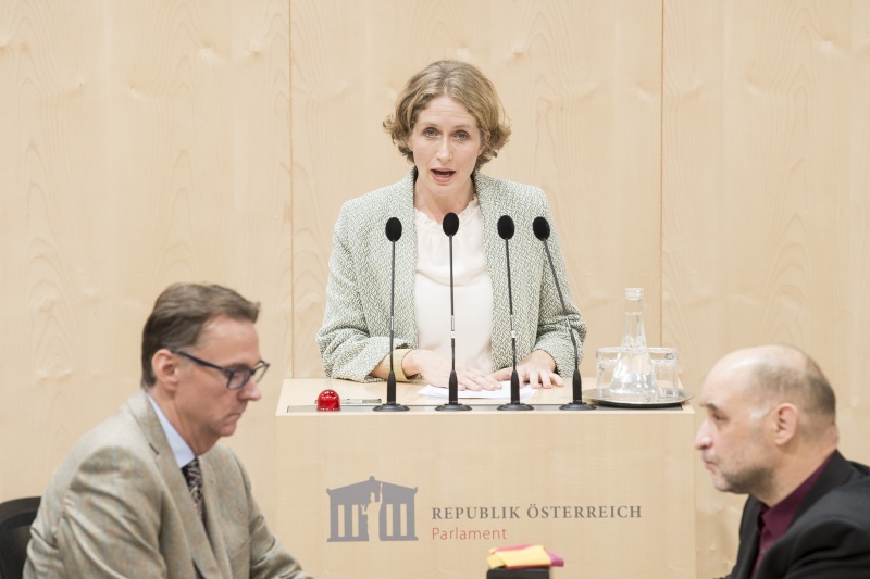 Am Rednerpult:Nationalratsabgeordnete Stephanie Krisper (N)