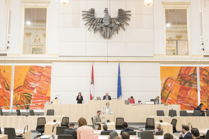 Am Rednerpult:Nationalratsabgeordnete Stephanie Krisper (N). Am Präsidium: Nationalratspräsident Wolfgang Sobotka (V)
