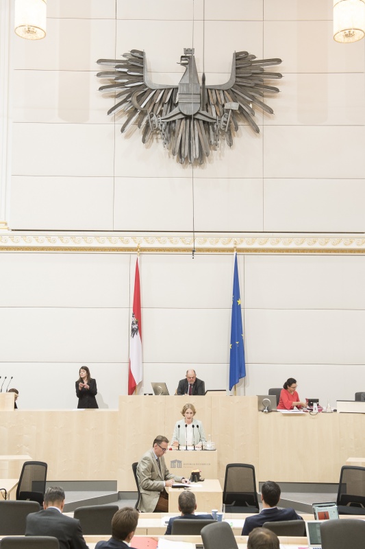 Am Rednerpult:Nationalratsabgeordnete Stephanie Krisper (N). Am Präsidium: Nationalratspräsident Wolfgang Sobotka (V)