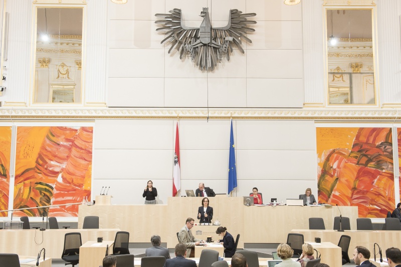 Am Rednerpult: Nationalratsabgeordnete Sonja Hammerschmid (S). Am Präsidium: Nationalratspräsident Wolfgang Sobotka (V)