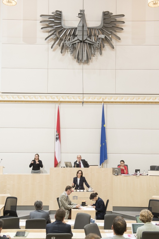 Am Rednerpult: Nationalratsabgeordnete Sonja Hammerschmid (S). Am Präsidium: Nationalratspräsident Wolfgang Sobotka (V)