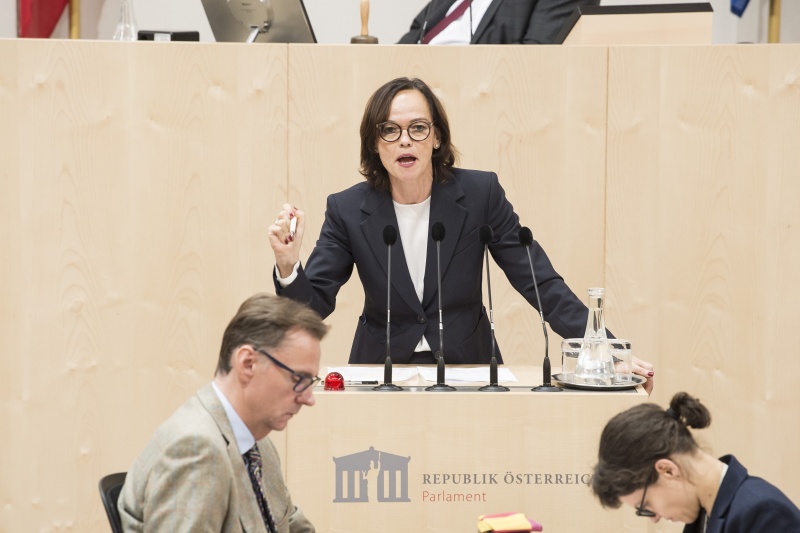 Am Rednerpult: Nationalratsabgeordnete Sonja Hammerschmid (S)