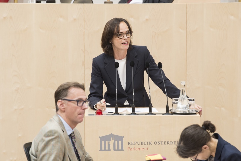 Am Rednerpult: Nationalratsabgeordnete Sonja Hammerschmid (S)
