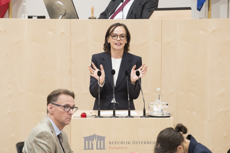 Am Rednerpult: Nationalratsabgeordnete Sonja Hammerschmid (S)
