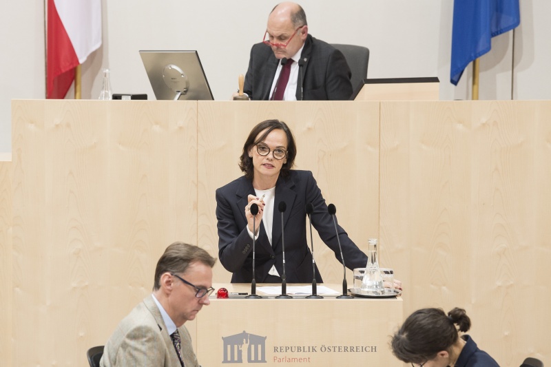 Am Rednerpult: Nationalratsabgeordnete Sonja Hammerschmid (S). Am Präsidium: Nationalratspräsident Wolfgang Sobotka (V)