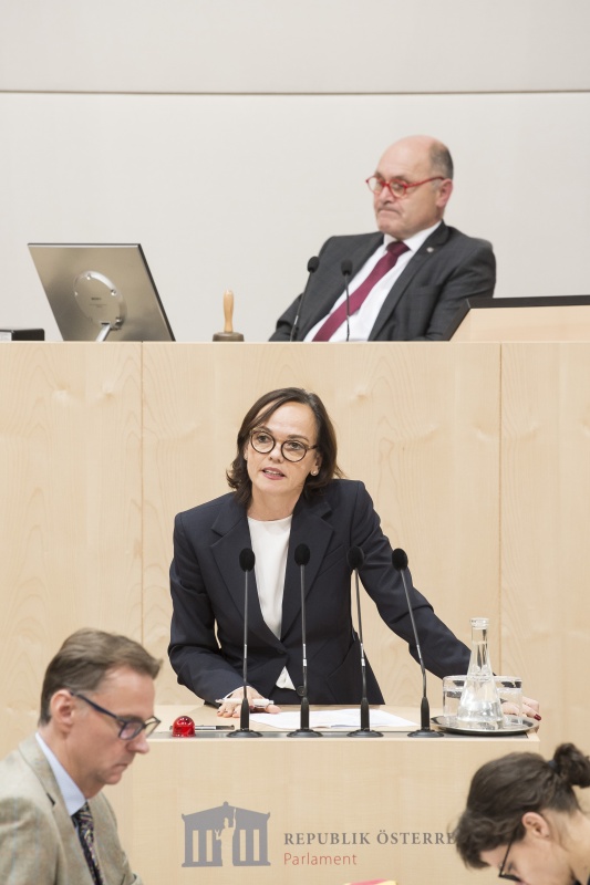 Am Rednerpult: Nationalratsabgeordnete Sonja Hammerschmid (S). Am Präsidium: Nationalratspräsident Wolfgang Sobotka (V)