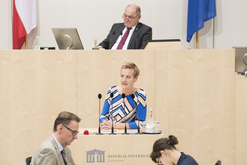 Am Rednerpult: Nationalratsabgeordnete Sibylle Hamann (G). Am Präsidium: Nationalratspräsident Wolfgang Sobotka (V)